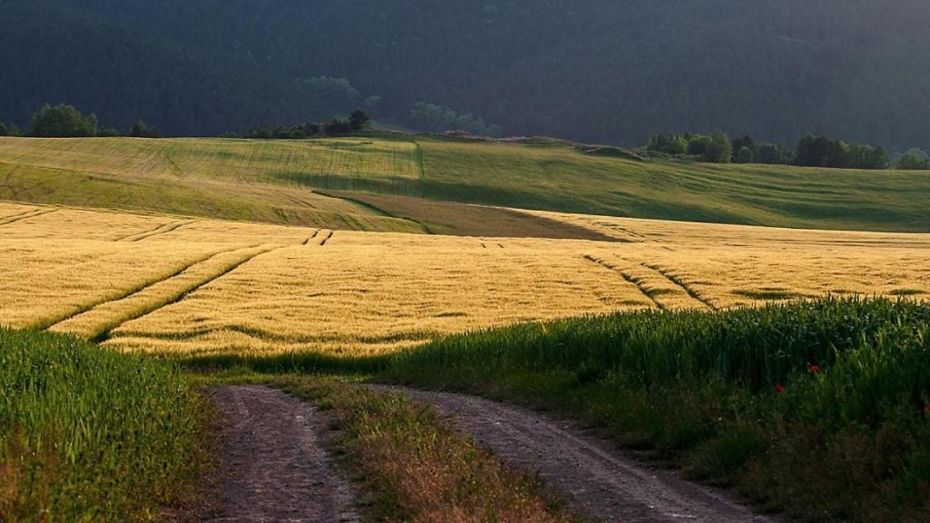 Penzion Mlynarov Dvor Dubrava ภายนอก รูปภาพ